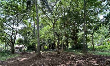FOR SALE - Vacant Lot in Lipa, Batangas