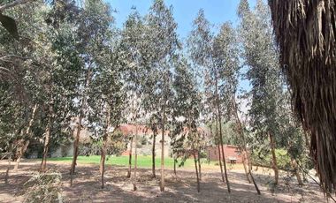 VENTA CASA DE CAMPO HUAROCHIRÍ 3541 M2 $500 000