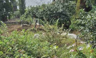 VENTA TERRENO SANTA EULALIA 486 M2 $65 000