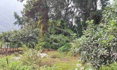 VENTA TERRENO SANTA EULALIA 486 M2 $65 000