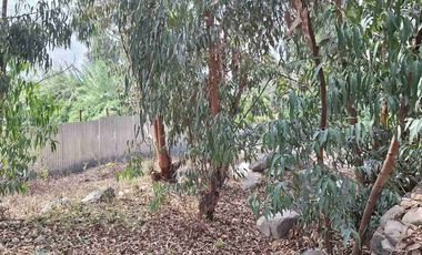 VENTA TERRENO SANTA EULALIA 486 M2 $65 000