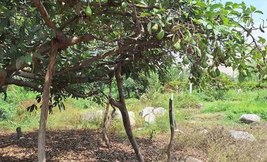 VENTA TERRENO SANTA EULALIA 486 M2 $65 000