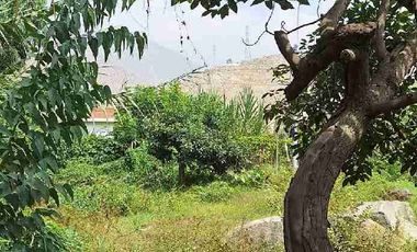 VENTA TERRENO SANTA EULALIA 486 M2 $65 000