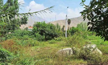 VENTA TERRENO SANTA EULALIA 486 M2 $65 000