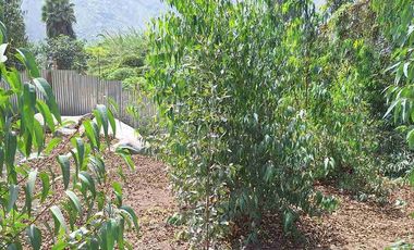 VENTA TERRENO SANTA EULALIA 486 M2 $65 000