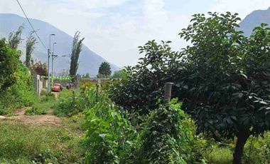 VENTA TERRENO SANTA EULALIA 486 M2 $65 000