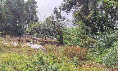 VENTA TERRENO SANTA EULALIA 486 M2 $65 000