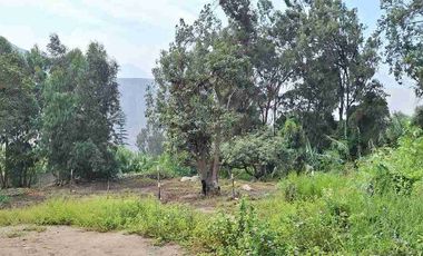 VENTA TERRENO SANTA EULALIA 486 M2 $65 000