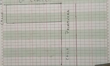 TERRENO VENTA POZA RICA PRIMAVERA 600MTS