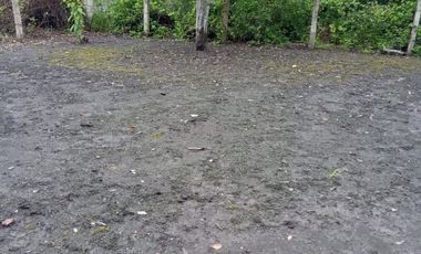 TERRENO VENTA POZA RICA PRIMAVERA 600MTS