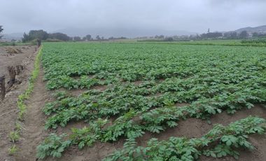 CHANCAY- VENTA TERRENO 3,623 M2 EN CHANCAYLLO