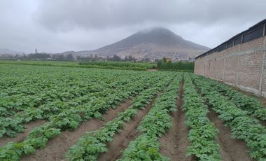 CHANCAY- VENTA TERRENO 3,623 M2 EN CHANCAYLLO