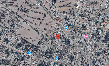 Terreno en venta en Tepehuey, San Gabriel Tetzoyocan