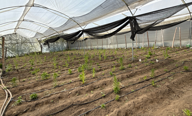 Terreno de venta Sector Huachi Grande, Ambato