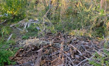 Se venden 2 parcelas en sector de Chancoyan a unos 25 km de Valdivia $40.000.000c/u