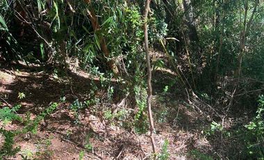 SE VENDE ESPECTACULAR PARCELA EN VALDIVIA