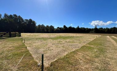 SE VENDE ESPECTACULAR PARCELA EN VALDIVIA