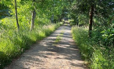 SE VENDE ESPECTACULAR PARCELA EN VALDIVIA