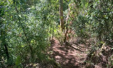 SE VENDE ESPECTACULAR PARCELA EN VALDIVIA