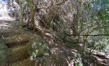 SE VENDE ESPECTACULAR PARCELA EN VALDIVIA