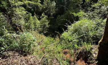 SE VENDE ESPECTACULAR PARCELA EN VALDIVIA