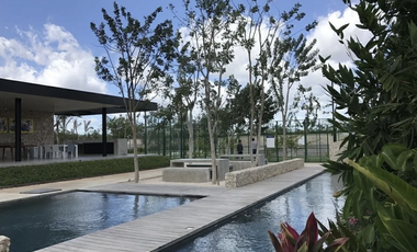 CASA EN VENTA EN MERIDA YUCATAN 1 SOLA PLANTA ALBERCA 3 RECAMARAS ARBOREA