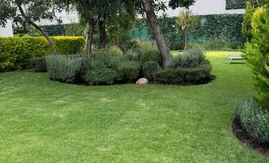 Venta PH, Florida, Álvaro Obregón, Cdmx, Vito Alessio Robles