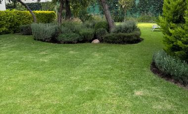 Venta PH, Florida, Álvaro Obregón, Cdmx, Vito Alessio Robles