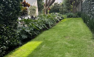 Venta PH, Florida, Álvaro Obregón, Cdmx, Vito Alessio Robles