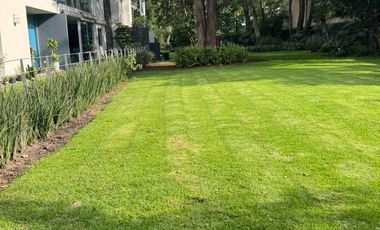 Venta PH, Florida, Álvaro Obregón, Cdmx, Vito Alessio Robles