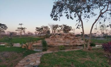 Preventa de casas de un piso y dos recámaras en Conkal