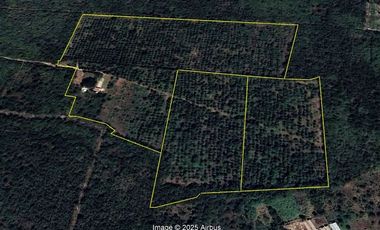 Terreo en venta de 18 hectáreas en Tekat, Mocochá, Yucatán