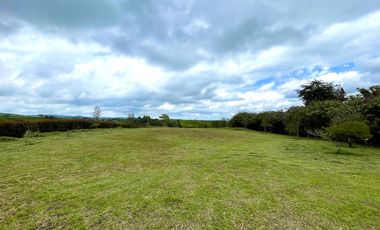 Extraordinario lote con 2490 m2 en la Vía Armenia en Condominio Campestre con vista al bosque Nativo. Pereira - Colombia.