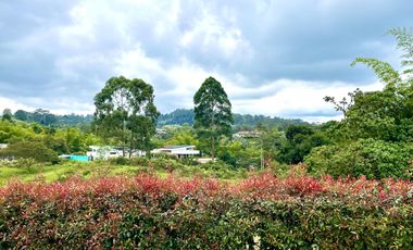 Extraordinario lote con 2490 m2 en la Vía Armenia en Condominio Campestre con vista al bosque Nativo. Pereira - Colombia.