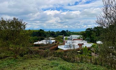 Extraordinario lote con 2490 m2 en la Vía Armenia en Condominio Campestre con vista al bosque Nativo. Pereira - Colombia.