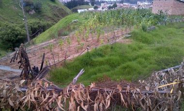 TERRENO PARA PROYECTO MOVILIARIO CON EXCELENTE UBICACION