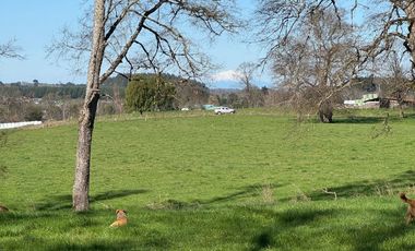 Oportunidad de parcelas a 45 minutos de Frutillar
