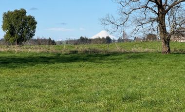 Oportunidad de parcelas a 45 minutos de Frutillar