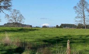 Oportunidad de parcelas a 45 minutos de Frutillar