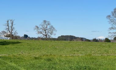 Oportunidad de parcelas a 45 minutos de Frutillar
