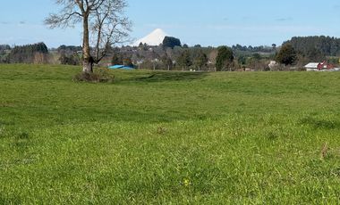 Oportunidad de parcelas a 45 minutos de Frutillar