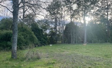 Oportunidad de parcelas a 45 minutos de Frutillar