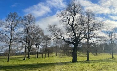 Oportunidad de parcelas a 45 minutos de Frutillar