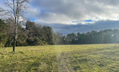 Oportunidad de parcelas a 45 minutos de Frutillar