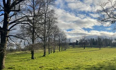 Oportunidad de parcelas a 45 minutos de Frutillar