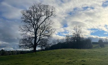 Oportunidad de parcelas a 45 minutos de Frutillar