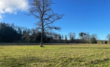 Oportunidad de parcelas a 45 minutos de Frutillar