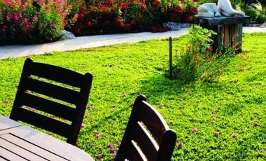 RENTA DEPARTAMENTO SANTA FE HIGH PARK