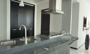 RENTA DEPARTAMENTO AMUEBLADO 3 RECAMARAS ZONA GALERIAS SERDAN