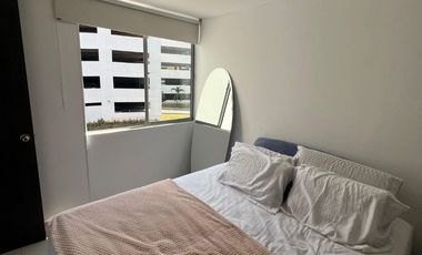 Oportunidad 197 millones, Reserva de la Loma